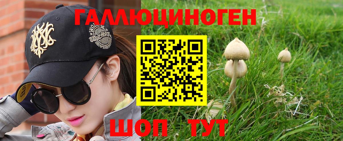 Псилоцибиновые грибы прущие грибы Гатчина