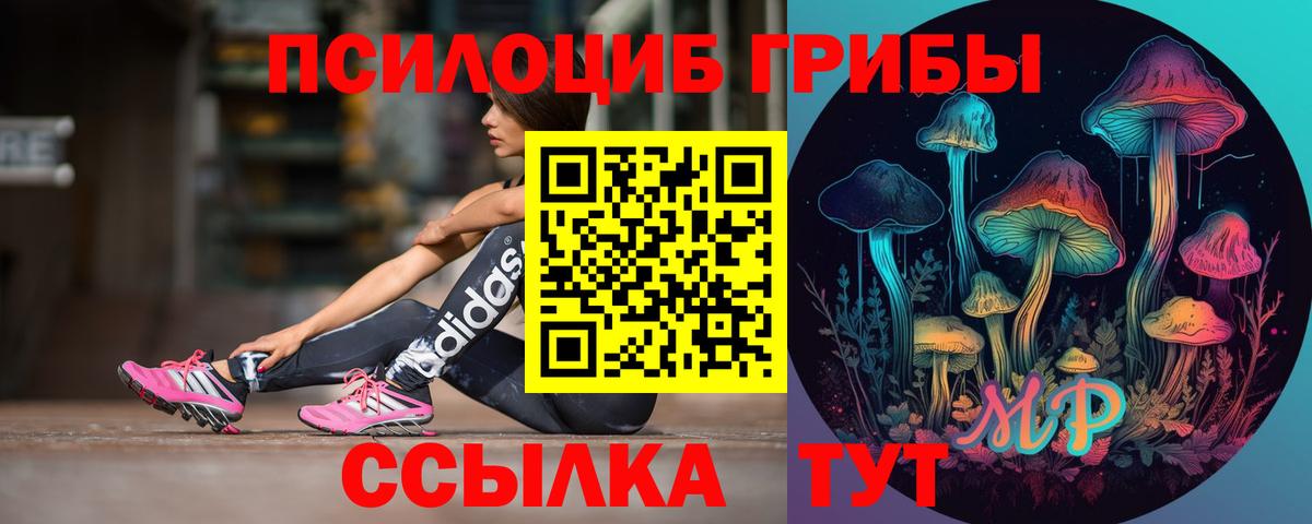 Гатчина  Галлюциногенные грибы GOLDEN TEACHER  Вход с VPN 